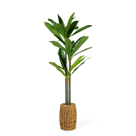 Decorațiuni, idei de cadouri - Plantă decorativă artificială Dracaena Fragrans – 1,1–1,2 m, verde