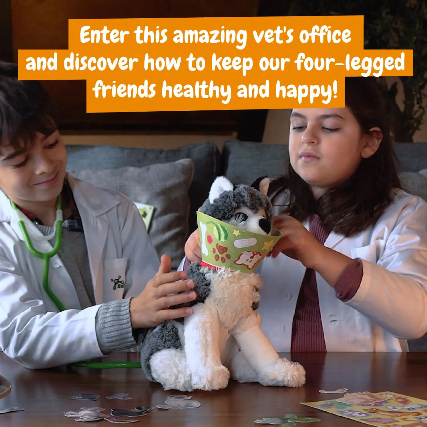 PRIMUL MEU KIT DE VETERINAR [2]