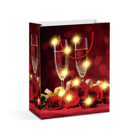 Pungă cadou - 10 LED-uri alb cald, hartie - 265 x 127 x 330 mm - 4 tipuri / pachet [1]