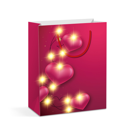 Pungă cadou - 10 LED-uri alb cald, hartie - 265 x 127 x 330 mm - 4 tipuri / pachet [2]