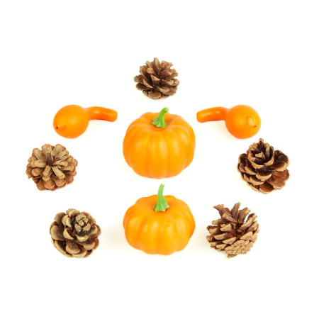 Set decorațiuni de toamnă – dovleci și conuri de pin, 9 piese, 5–7 cm [1]