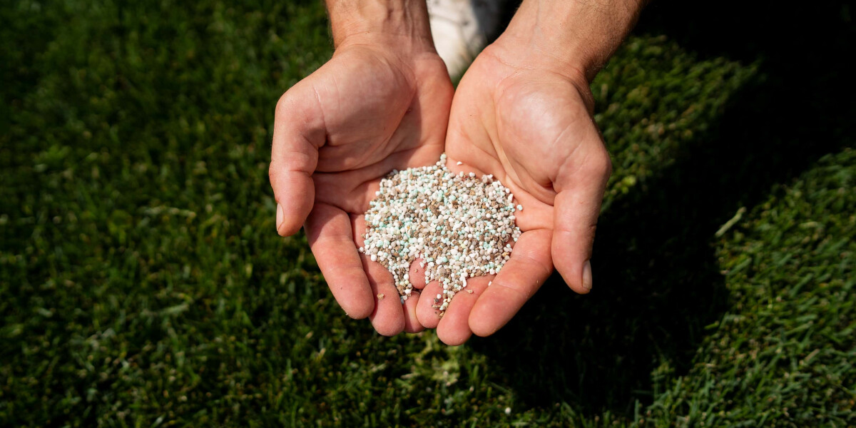 Fertilizаnți de top