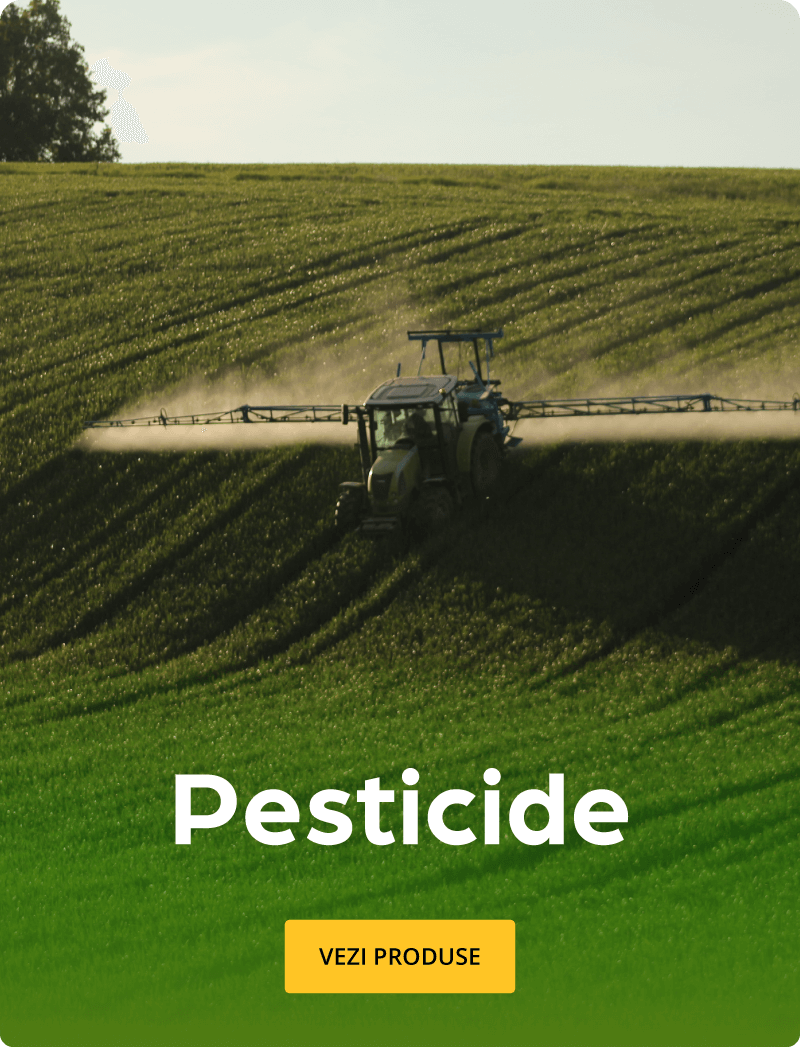 Pesticide