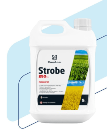 Pesticide - Fungicid - STROBE 250 SC (12X 1 L)- L - 1l/ha - PAIOASE , RAPITA , LEGUME