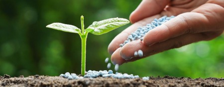 INGRASAMANT AZOTAT DE AMONIU AMBALAJ BB