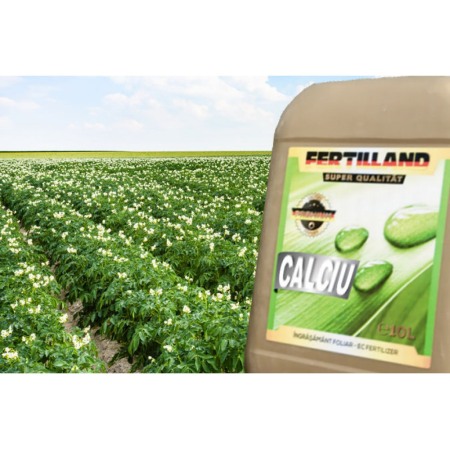 Ingrașământ Foliar - Ingrasamant Fertilland Calciu, 1 litru, RodBun