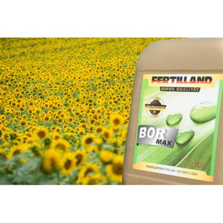 Ingrașământ Foliar - Ingrasamant foliar cu continut de bor, Fertilland Bor Max, 1 litru, RodBun