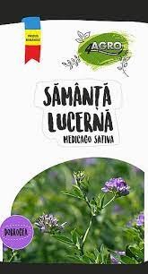Lucernă - Samanta lucerna romaneasca DOBROGEA C1, Drajata