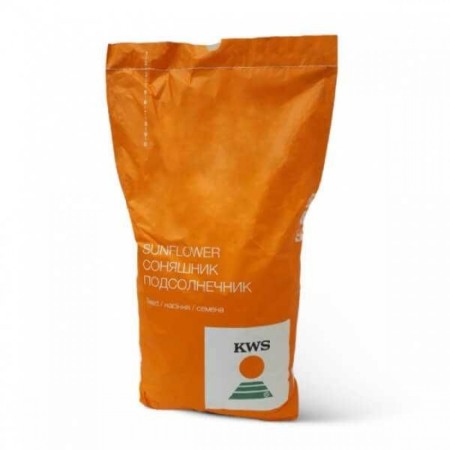 Floarea soarelui - Seminte de Floarea Soarelui KWS SUVEX SU - Sac 150.000 seminte