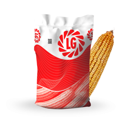 Porumb - Seminte porumb tardiv - LG 34.90 50.000 Limagrain