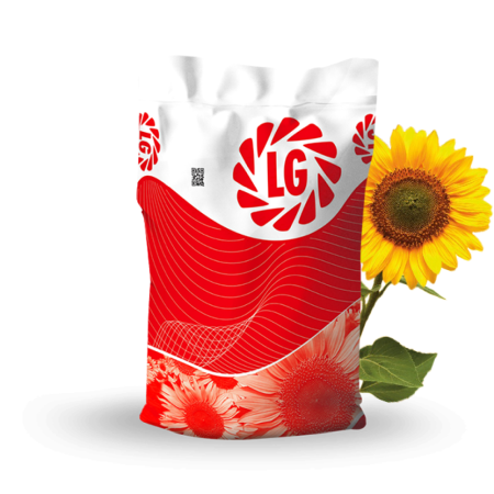 Floarea soarelui - Seminte Floarea Soarelui LG 50.455 CLP - 150.000 seminte