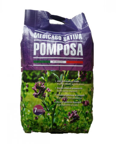 Lucernă - Seminte lucerna POMPOSA C1, Nedrajata - 10 kg