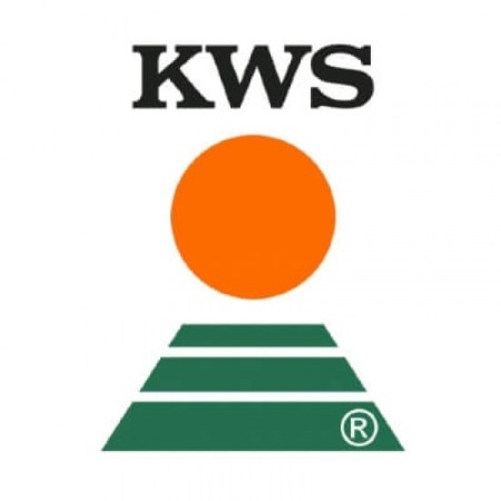 Soia - Seminte soia KWS ANNIKA - Sac 110.000 seminte