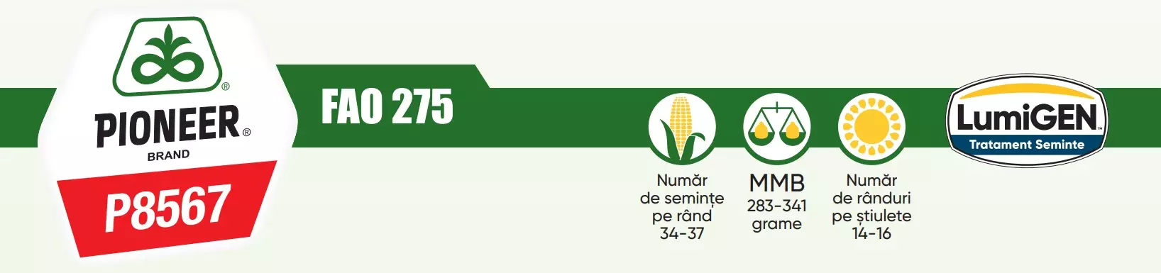 Samanta Porumb Pioneer P8567