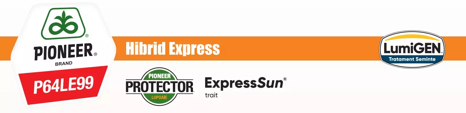 Seminte de floarea soarelui Pioneer P64LE99