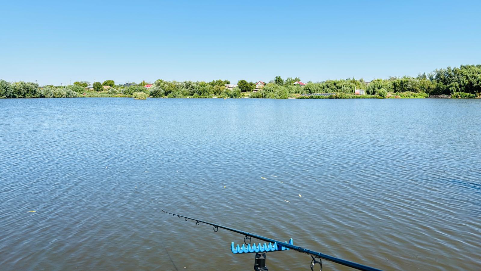Cum alegi lanseta de feeder
