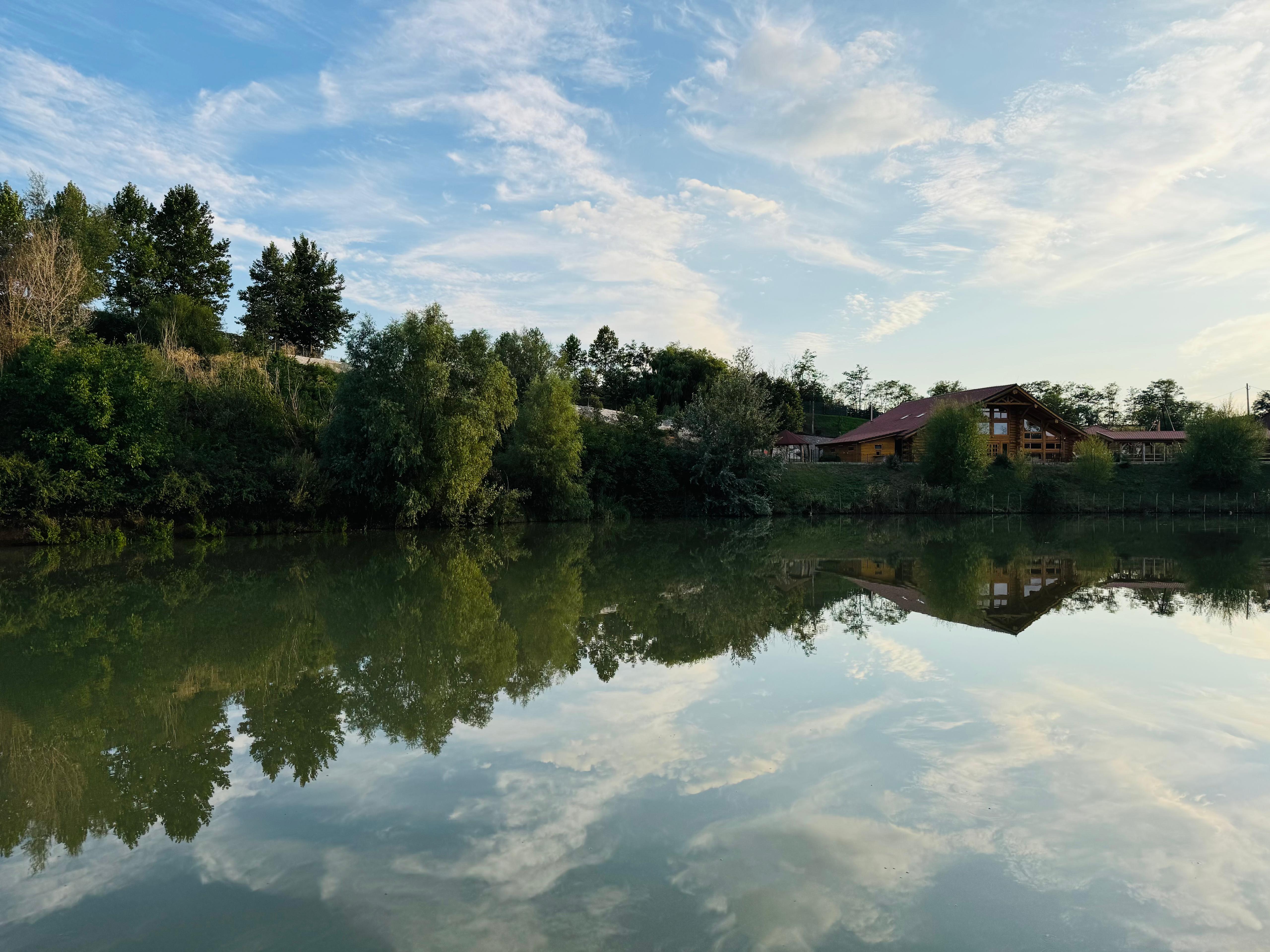 Cum alegi mulineta de feeder