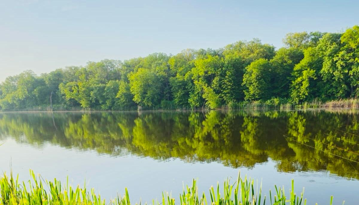 Apa curgatore pescuit la feeder