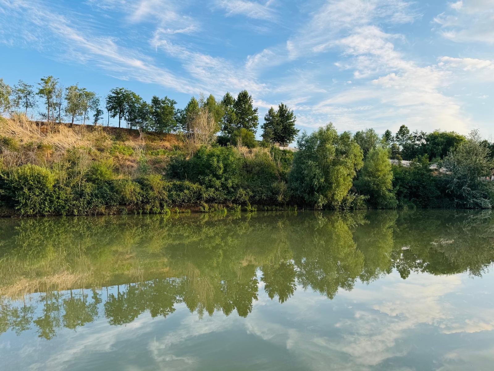Pescuitul la feeder - tot ce trebuie sa stii ca incepator