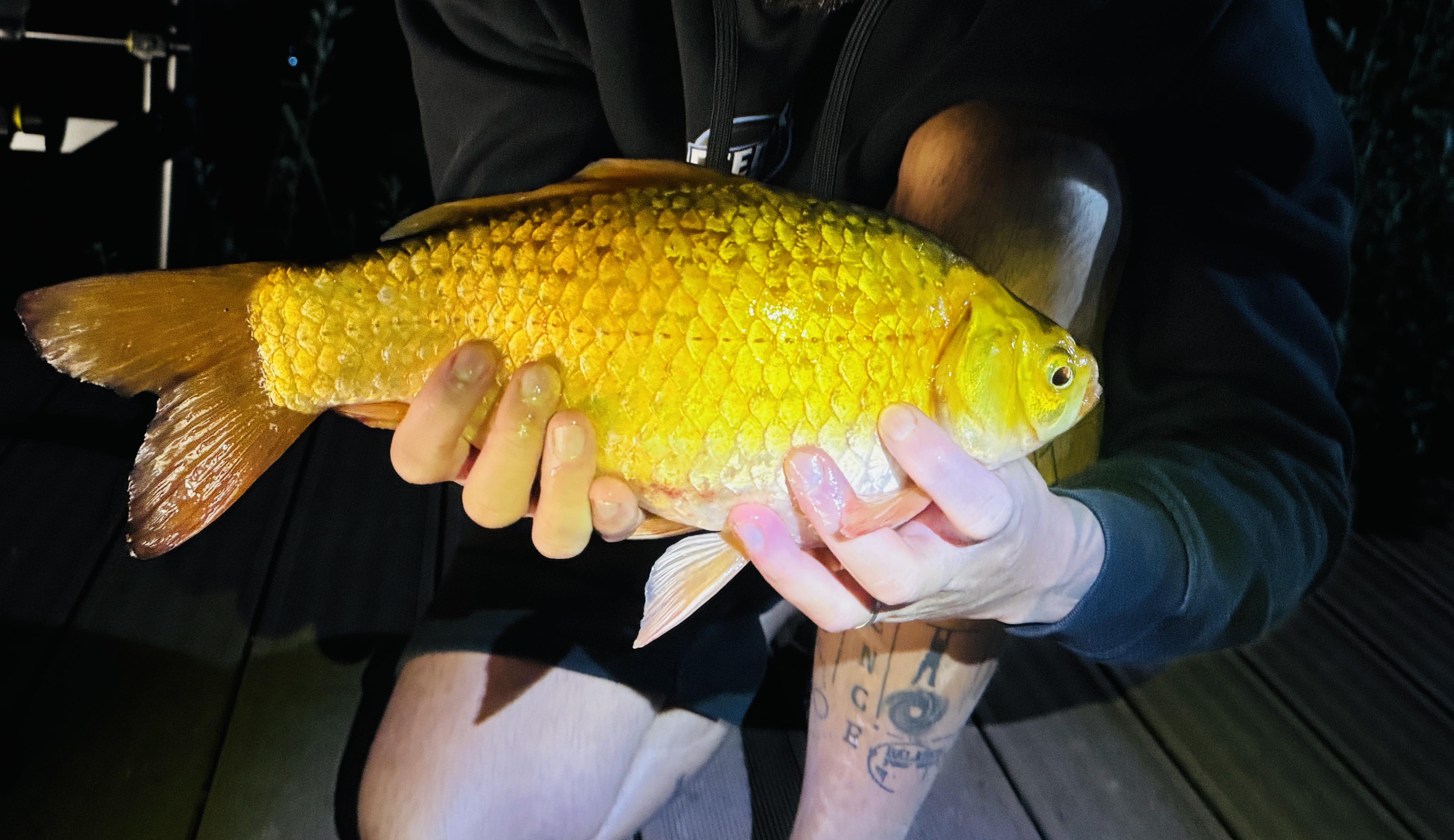 Sfaturi pentru pescuit la caras la feeder - tehnica, monturi si momeli castigatoare