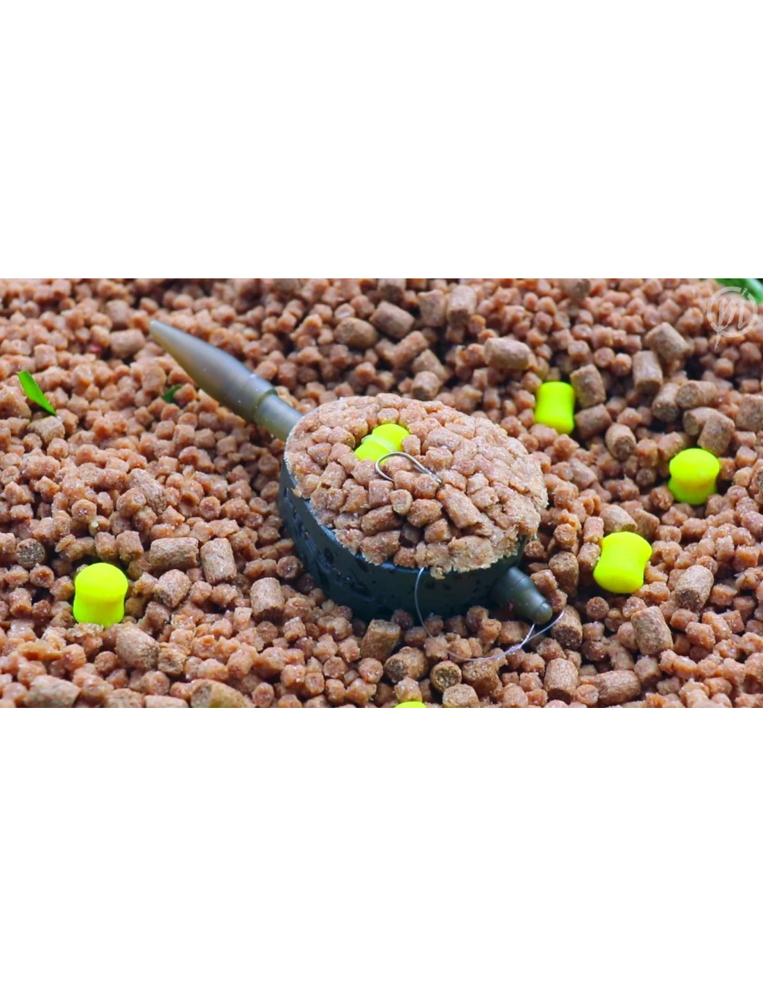 momitor bando feeder