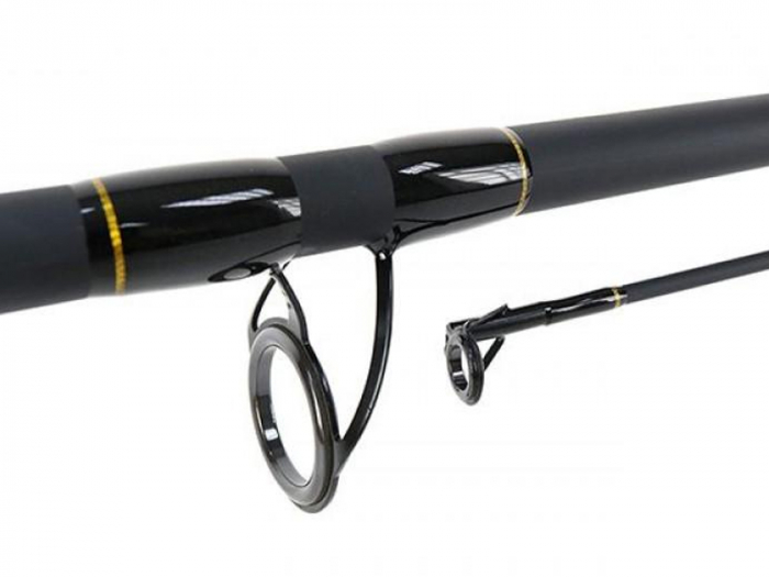 Lanseta Formax Tactic Boat 2.10m 40-160g [3]