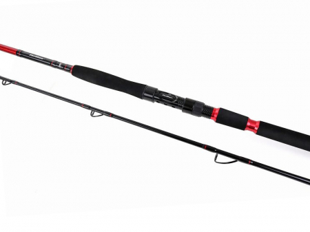 Lanseta Formax Visage Boat 2.70m 70-300g [2]