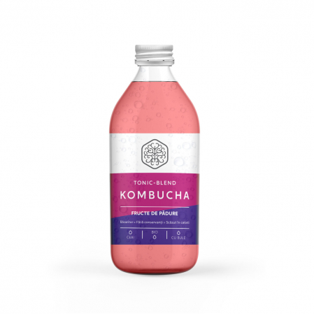 Kombucha - kombucha cu fructe de padure – Chilli hills