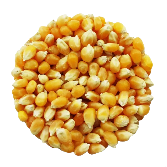 Porumb Ecologic, Boabe, 5 kg [2]