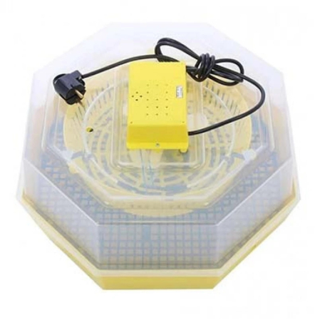 Incubatoare uz caznic - Incubator de oua Cleo 5 - Capacitate 60 oua
