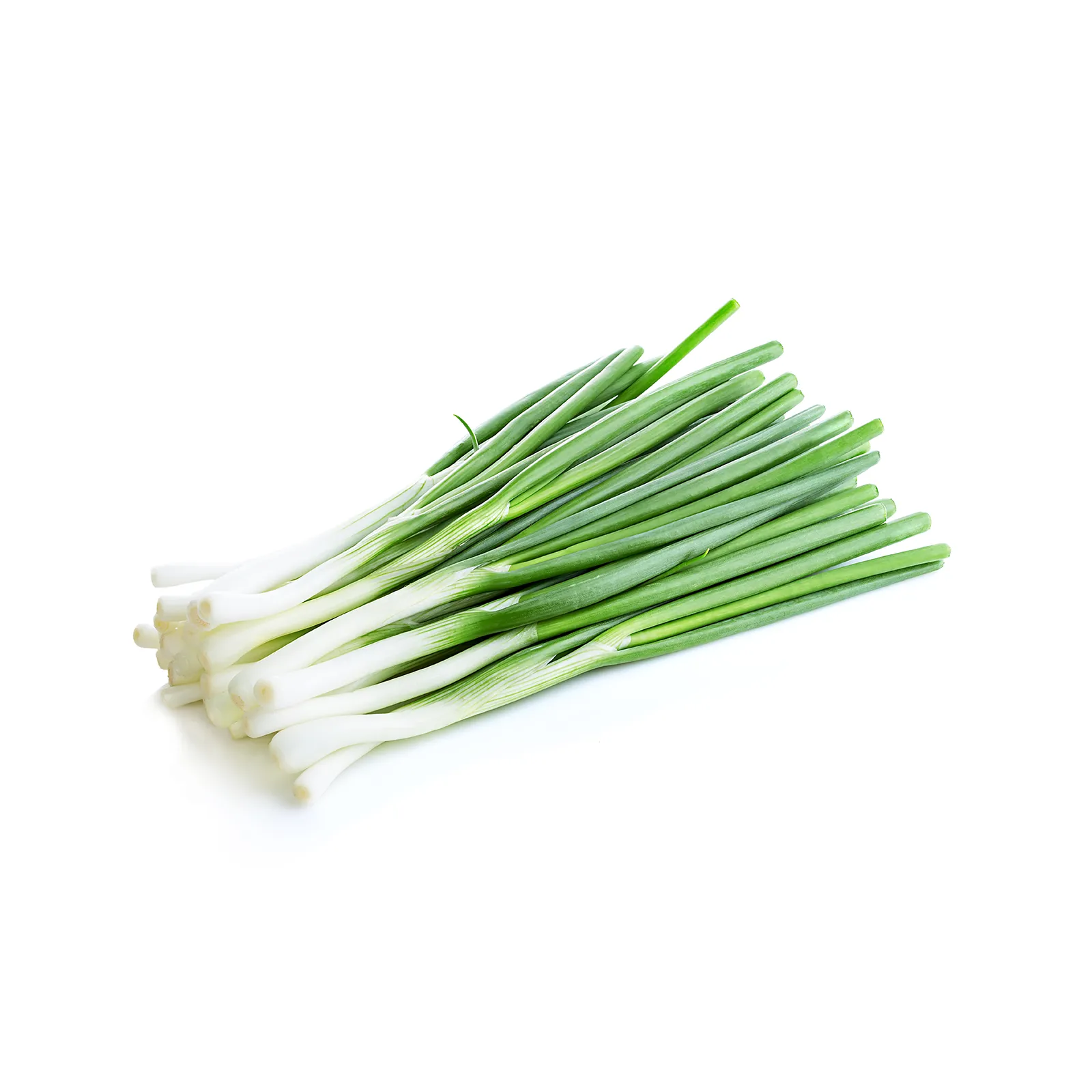 LEGUME - Ceapă verde proaspete românești de la Ferma Fechete