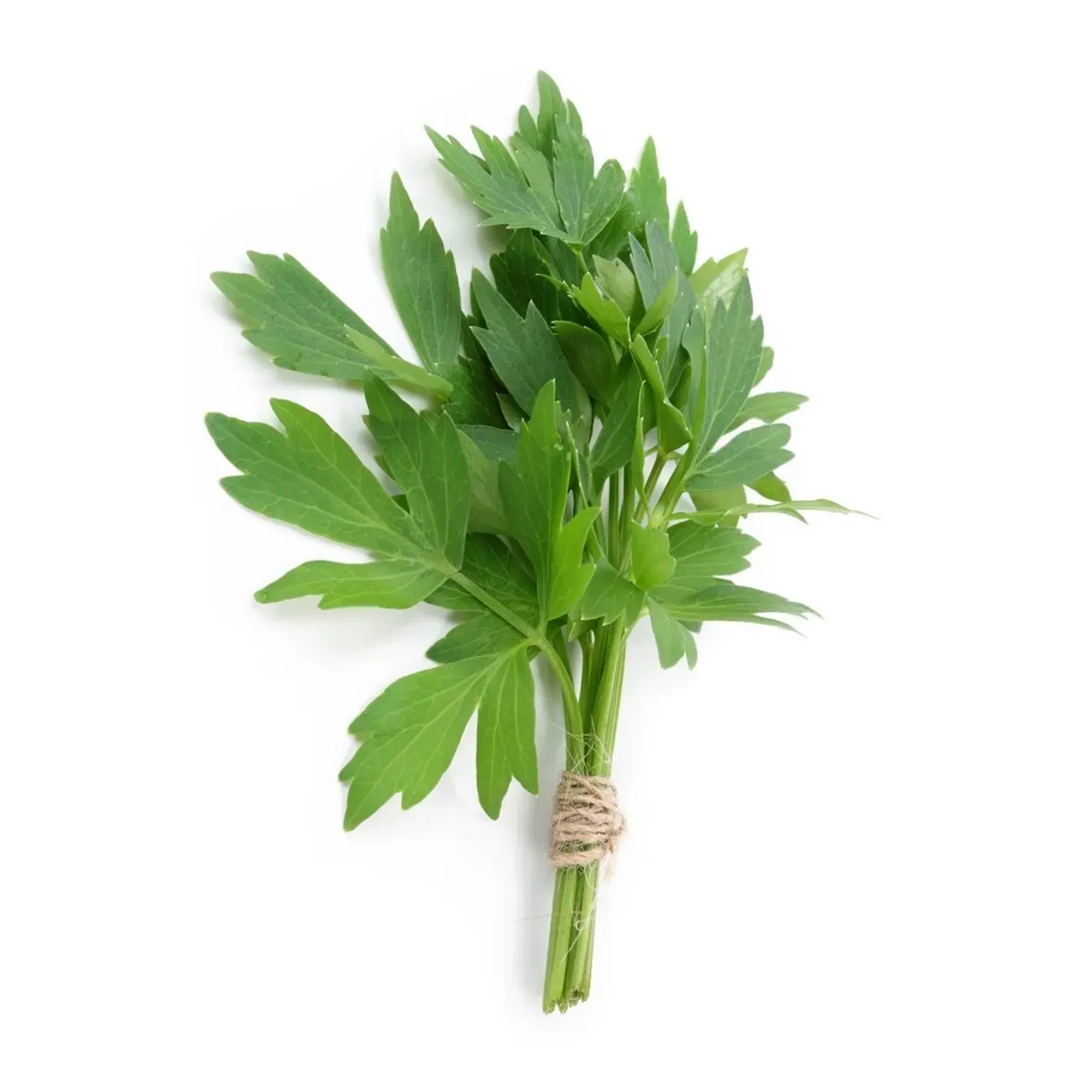 LEGUME - Leuștean proaspăt românesc de la Ferma Fechete