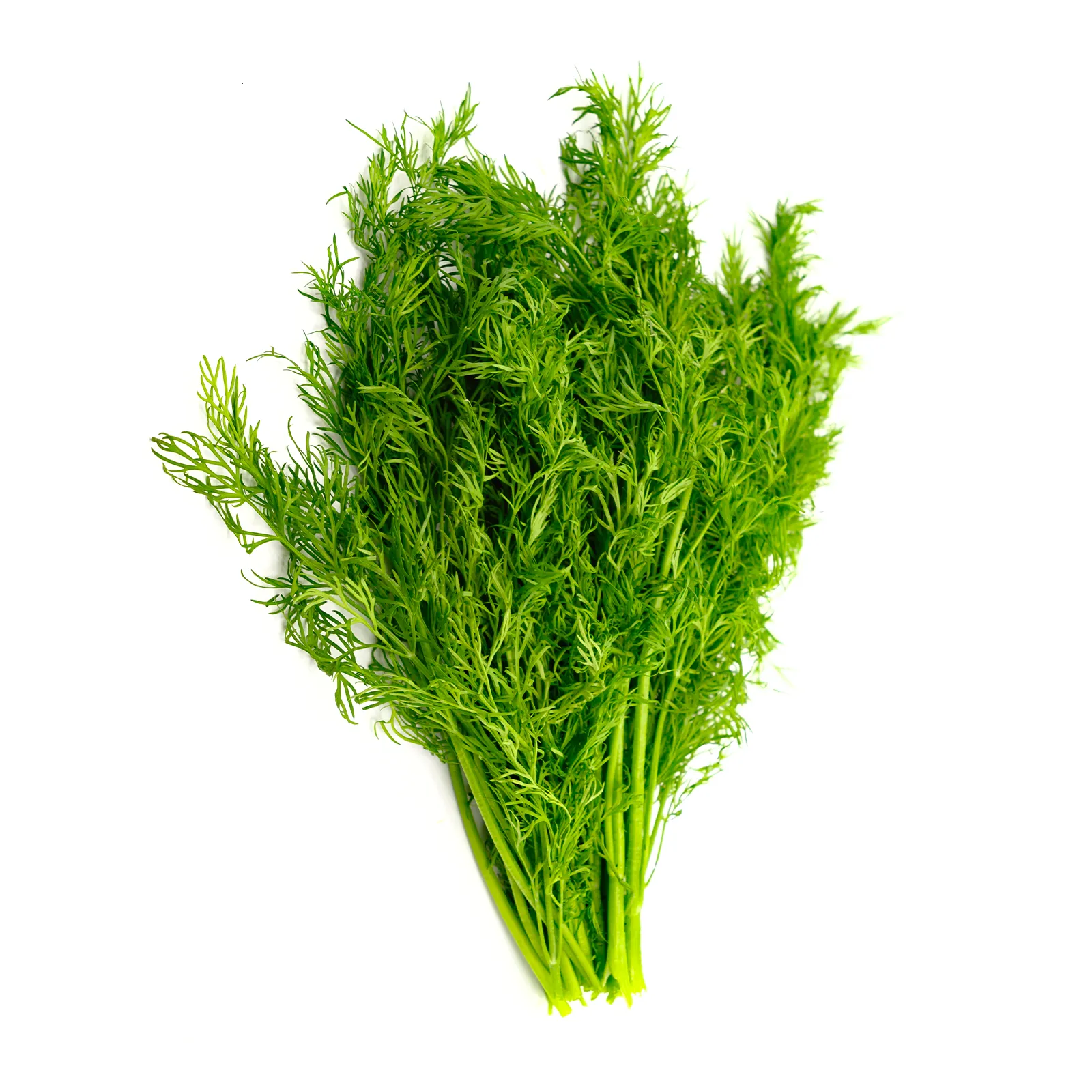 LEGUME - Mărar verde proaspete românești de la Ferma Fechete