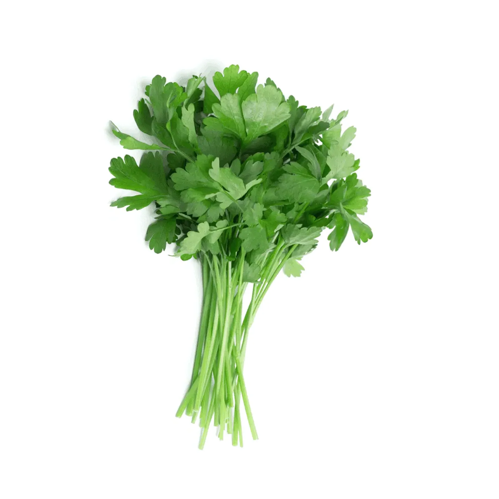 LEGUME - Pătrunjel verde românesc proaspăt de la Ferma Fechete