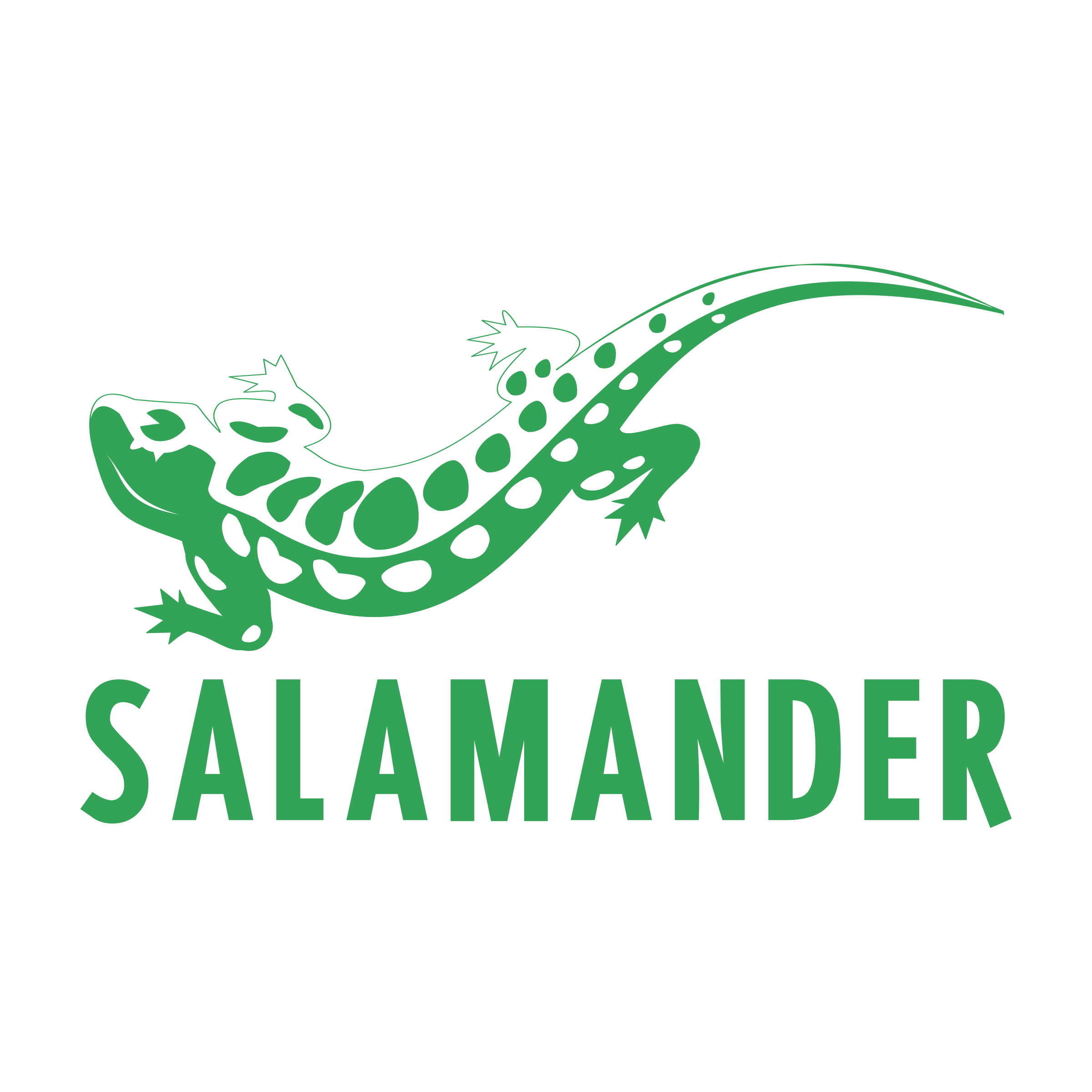 Salamander