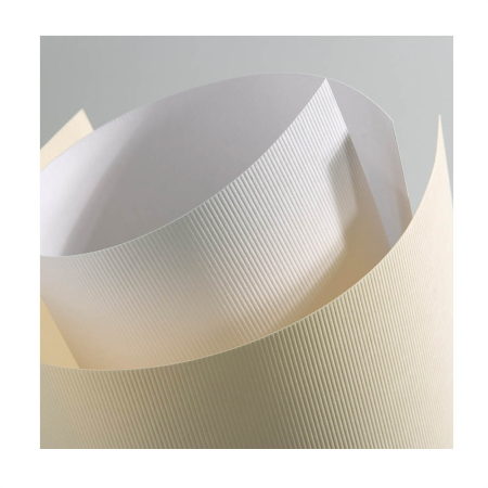 Accesorii & Unelte - Carton LINES A4 220g 20coli/top