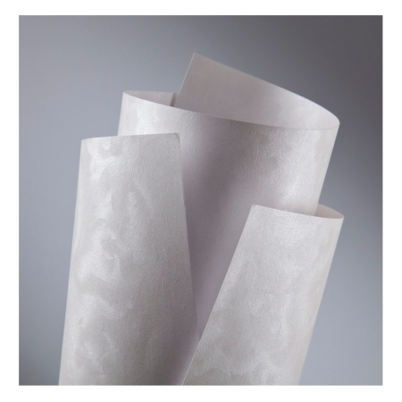 Accesorii & Unelte - Carton PEARL A4 220g 20coli/top