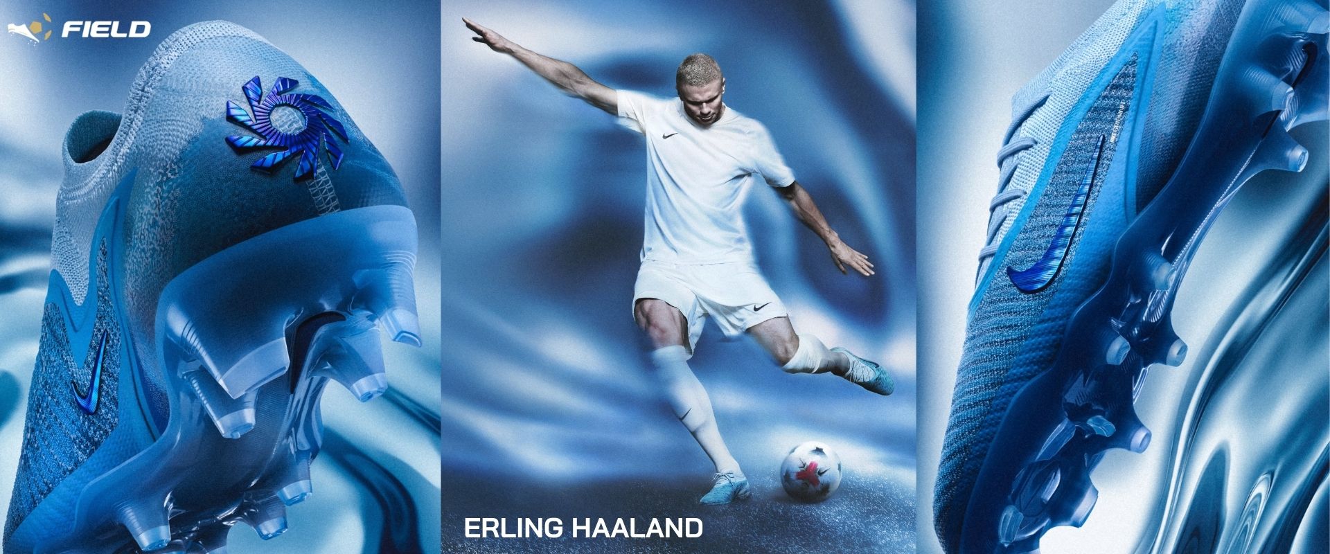 Halland dest