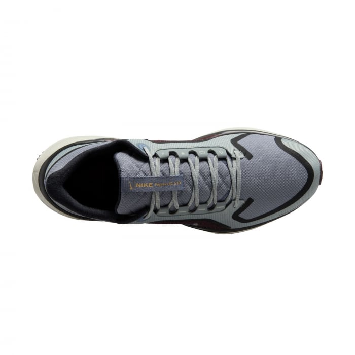 Pantofi sport Nike Air Zm Pegasus 41 GTX [12]
