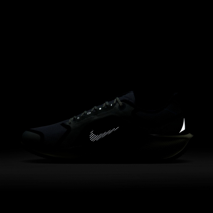 Pantofi sport Nike Air Zm Pegasus 41 GTX [10]