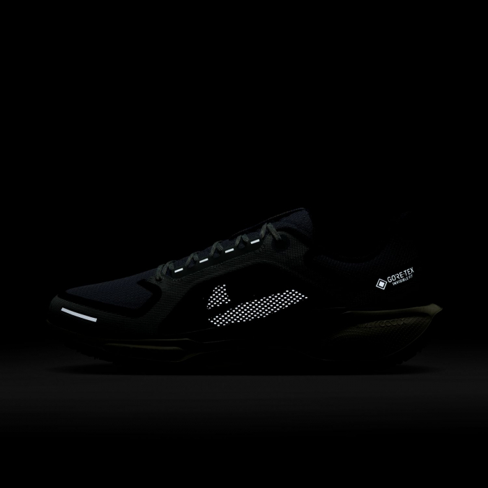 Pantofi sport Nike Air Zm Pegasus 41 GTX [9]