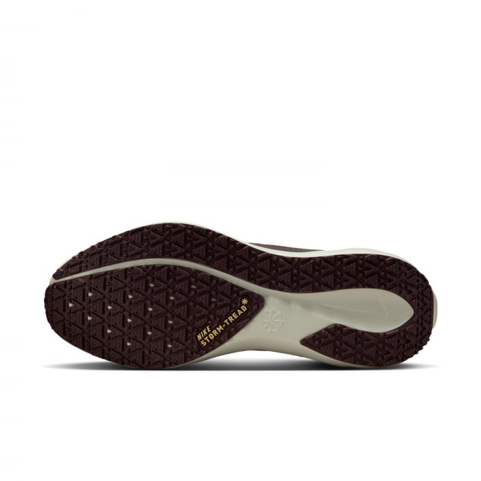 Pantofi sport Nike Air Zm Pegasus 41 GTX [13]