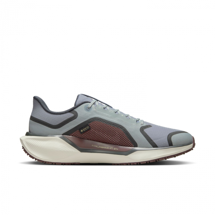 Pantofi sport Nike Air Zm Pegasus 41 GTX [11]