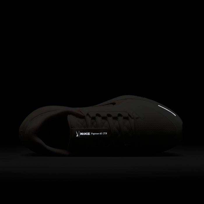 Pantofi sport Nike W Air Zm Pegasus 41 GORE-TEX [13]