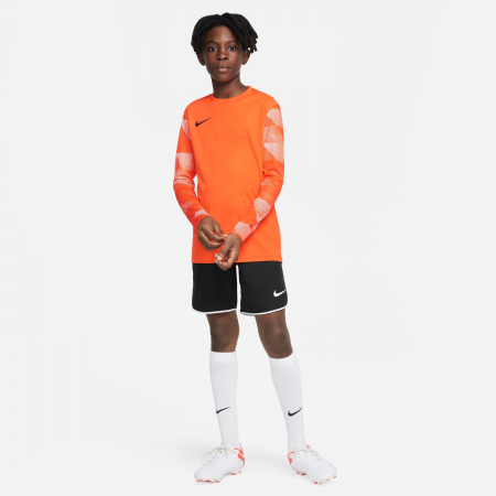 Bluza portar Nike Y Nk Df Park Iv Jsy Ls Gk [2]