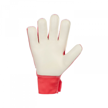 Manusi portar Nike Nk GK Match JR [1]