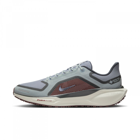 Pantofi sport Nike Air Zm Pegasus 41 GTX [0]