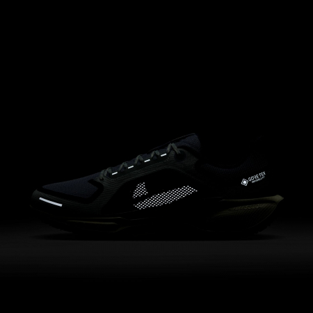 Pantofi sport Nike Air Zm Pegasus 41 GTX [8]