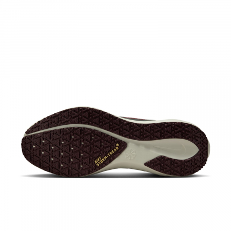 Pantofi sport Nike Air Zm Pegasus 41 GTX [12]