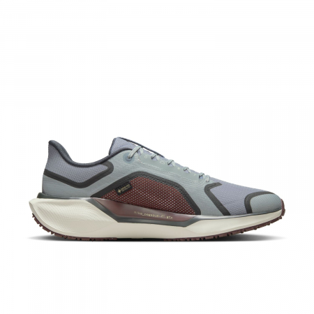 Pantofi sport Nike Air Zm Pegasus 41 GTX [10]